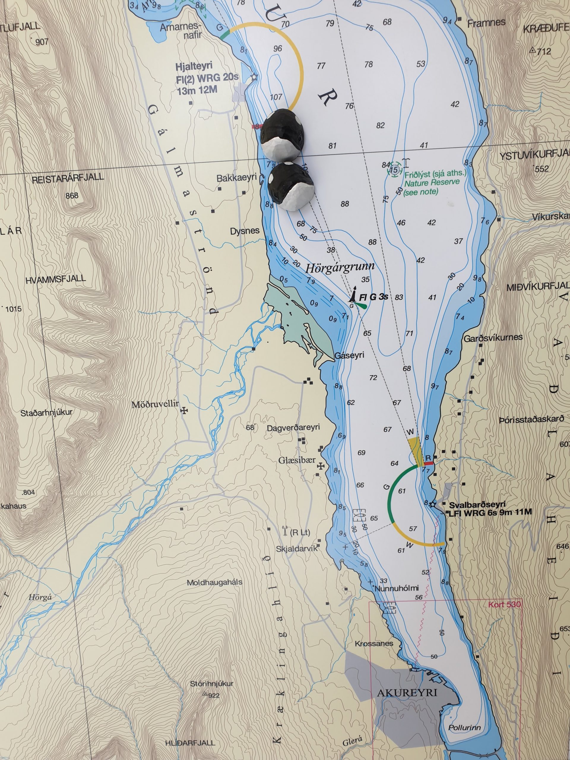 mapa pozorovania veľrýb v agentúre Elding